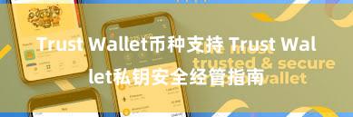 Trust Wallet币种支持 Trust Wallet私钥安全经管指南